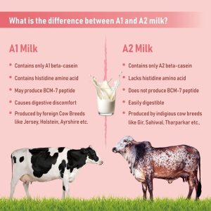 What is the difference between A1 and A2 milk?