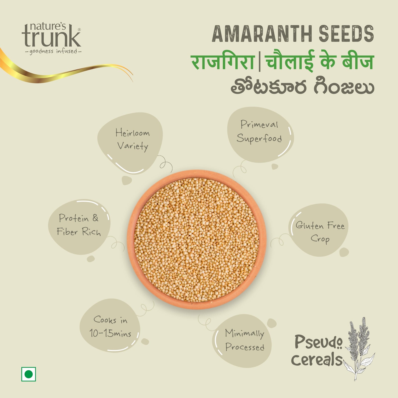 Amaranth seeds infographic showing gluten free superfood rich in protein and fiber, heirloom variety best amaranth seeds