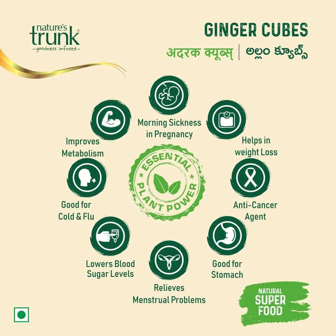 Nature's Trunk Ginger Cubes support digestion, metabolism, weight management, and stomach health. Buy Ginger Cubes online or order Ginger Cubes online for everyday wellness.