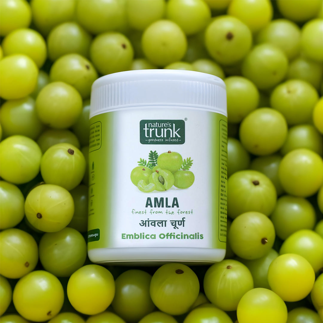 Natural amla powder made from sun-dried Indian gooseberries — pure herbal amla powder for hair care and wellness. Buy amla powder online safely.