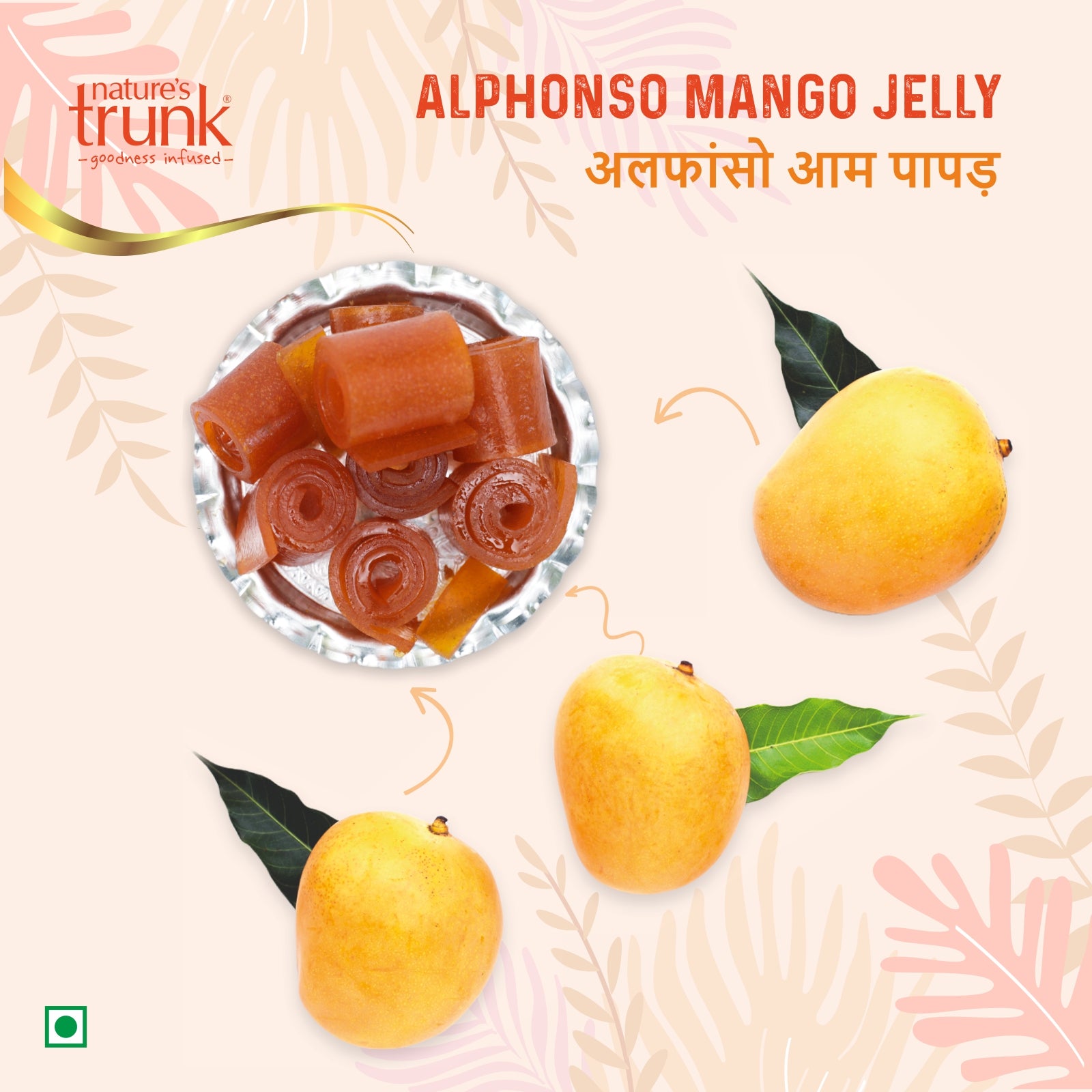 Nature’s Trunk Alphonso mango jellies 750g jar angled view – buy mango jelly online, delicious alphonso mango jelly