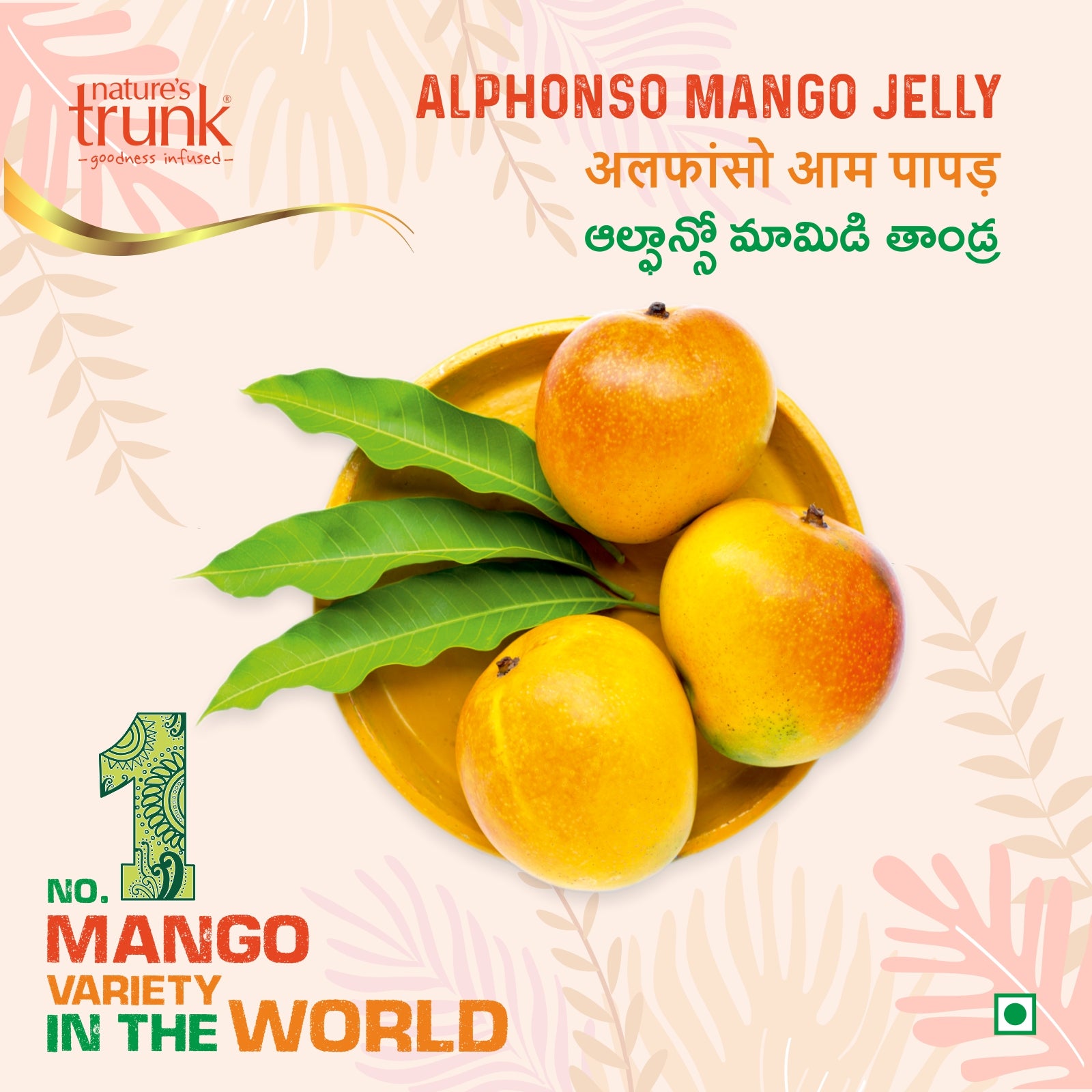 Front view of Nature’s Trunk 750g Alphonso mango jelly jar – buy mango jelly online, delicious alphonso mango jellies